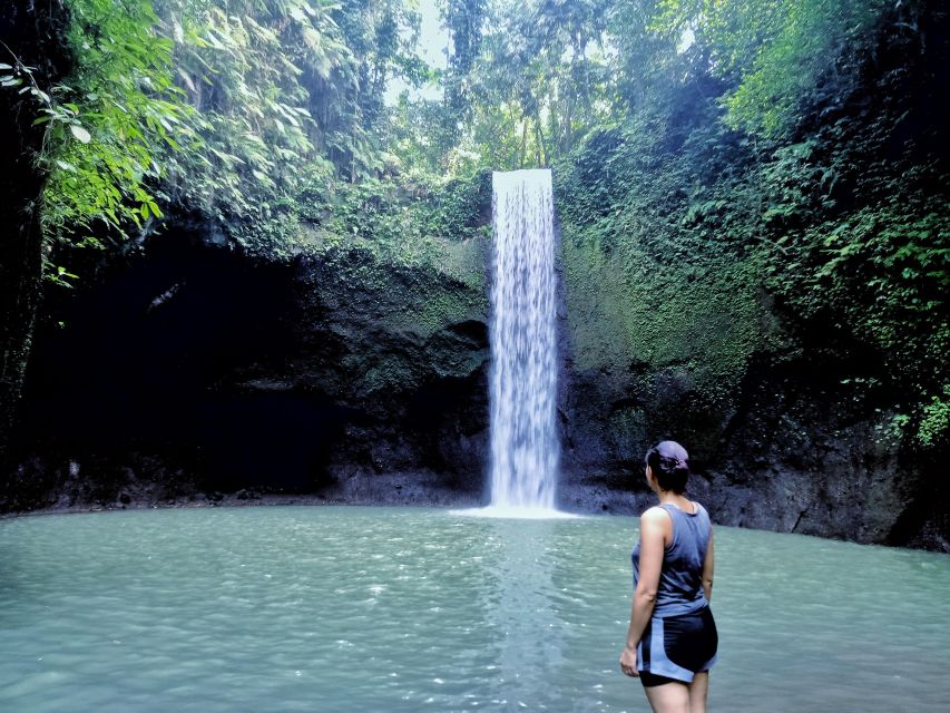 Ubud: Rice Terraces, Water Temple, & Waterfalls Private Tour - Booking Details