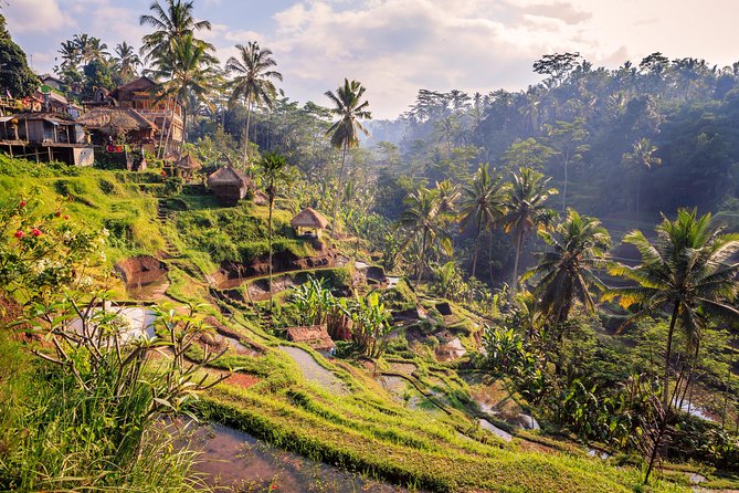 Ubud Small Group Tour: Monkey Forest, Tegalalang Rice Terraces and More - Tour Details