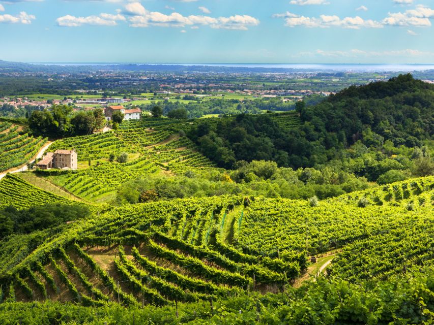 Valdobbiadene - Prosecco Hills Cycling With Sommelier - Restrictions and Additional Considerations