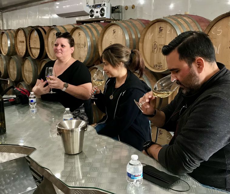 Valley of Guadalupe Wine Tasting Tour - Wine Tasting Experience