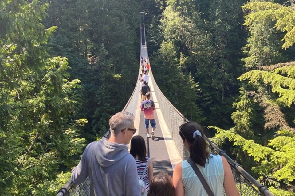 Vancouver Capilano Canyon Light&Peak of Christmas in Grouse - Strolling Through the Light Tunnel