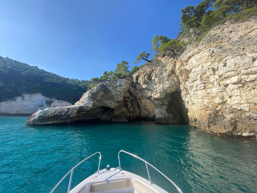 Vieste: Boat Tour of the Gargano Coast - Departure and Destination