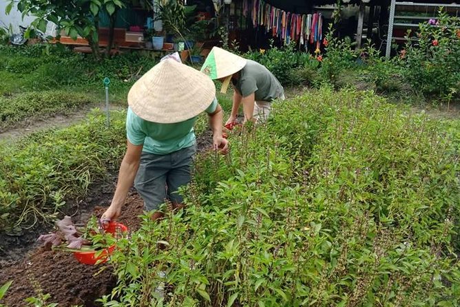 Vietnamese Cooking Class and Cu Chi Tunnels Tour From Ho Chi Minh City - Vietnam War History Insights
