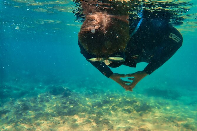 Visit Secret Caves, Hidden Beaches and Snorkel in Alvor, Portugal - Exploring the Secret Cave