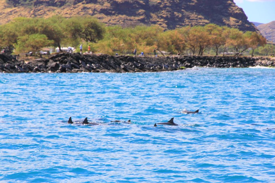 Waianae, Oahu: Swim With Dolphins (Semi-Private Boat Tour) - Meeting Point