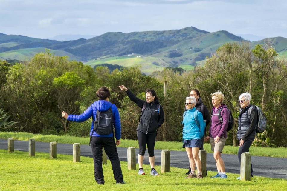 Waiheke Island: Double Headland Premium Guided Coastal Walk - Tour Description