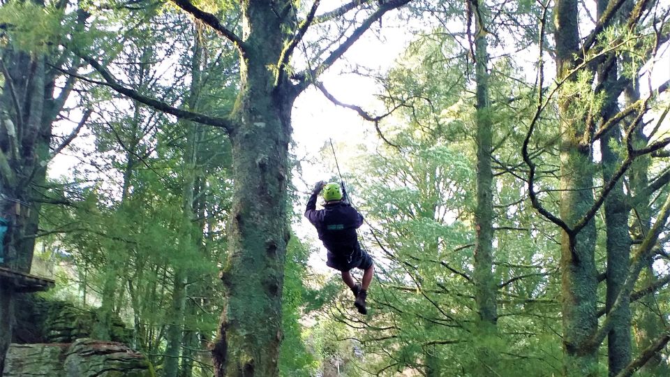 Waitomo Caves 1-Kilometer-Long Zipline Tour - Customer Reviews