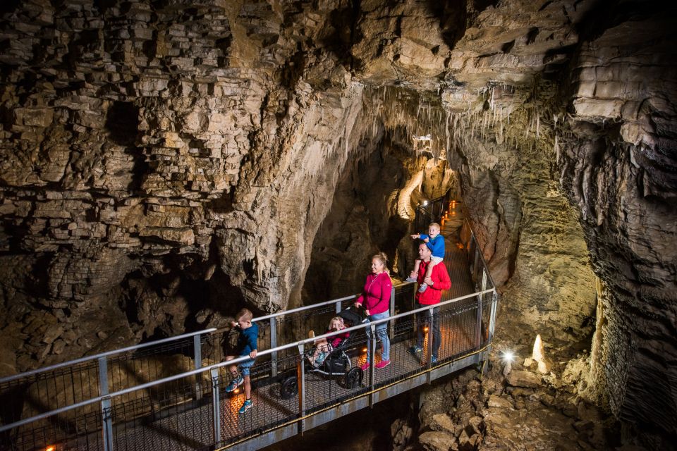 Waitomo: Ruakuri Cave 1.5 Hour Guided Tour - Important Information