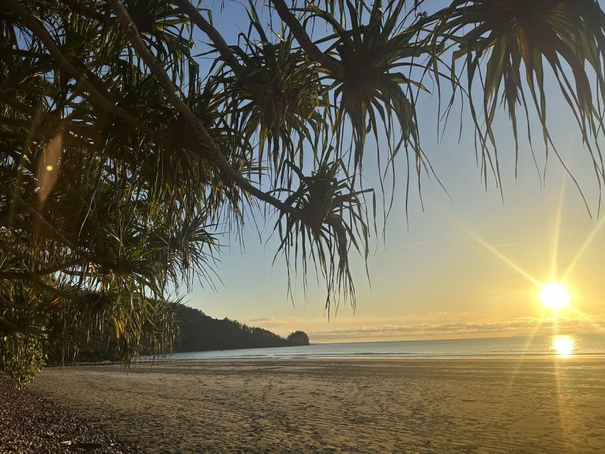 Wallabies on the Beach Sunrise Trip From Mackay - Itinerary Overview