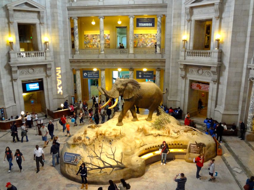 Washington DC: Museum of Natural History Private Guided Tour - Customization Options