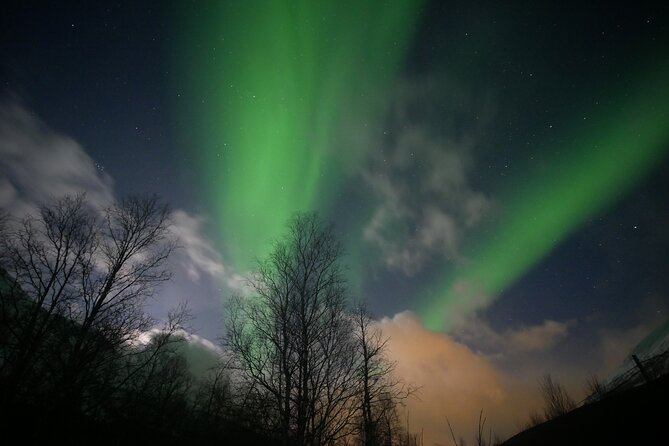 Watching The Aurora Dance - Hassle-free Transfers