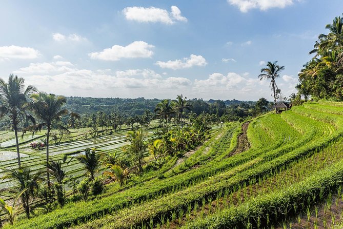 West Bali Tour: Taman Ayun, Ulun Danu Beratan, Jatiluwih Rice Terrace, Tanah Lot - Accessibility Details