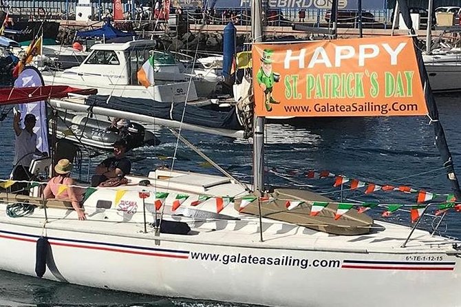 Whale and Dolphin Small Group Sailing From Tenerife South - Experienced Crew and Spotting