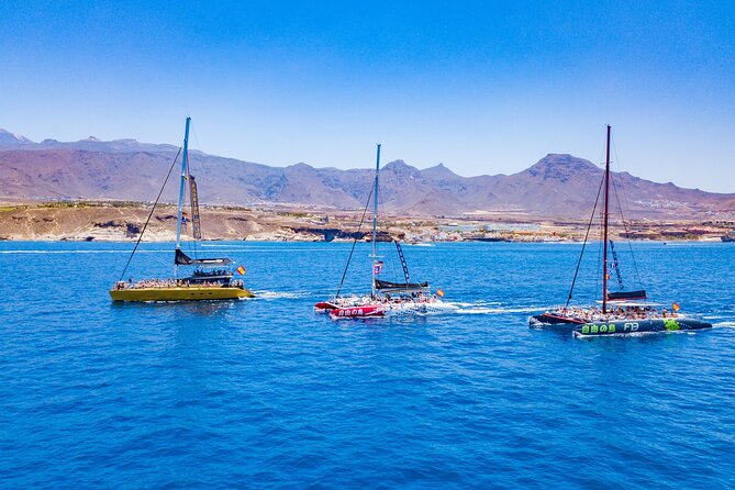 Whale Watching Catamaran in Costa Adeje (Including Drinks & Sandwich) - Group Size and Capacity