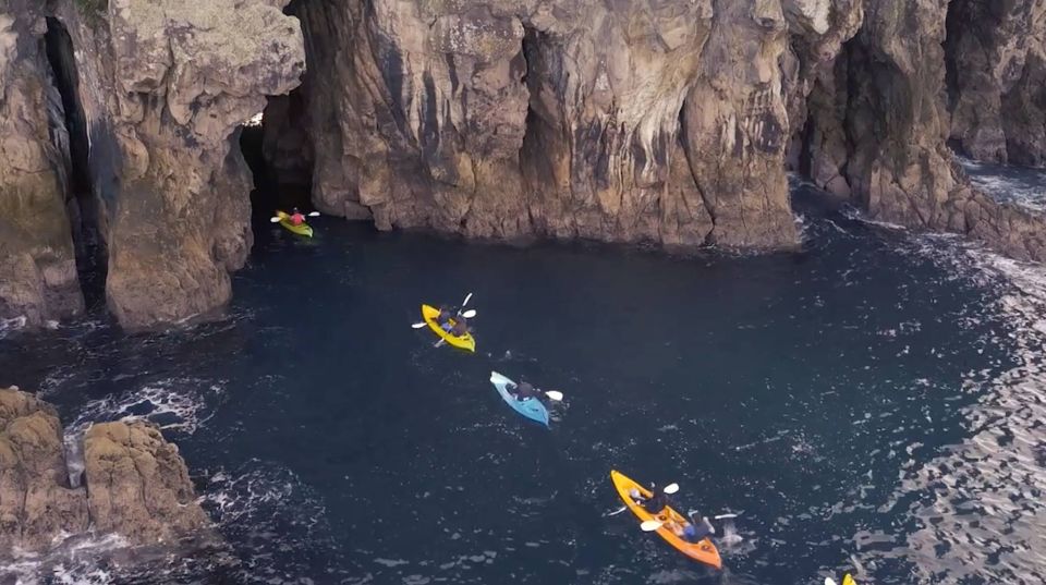 Whangamata: Donut Island Guided Kayaking Experience - Frequently Asked Questions