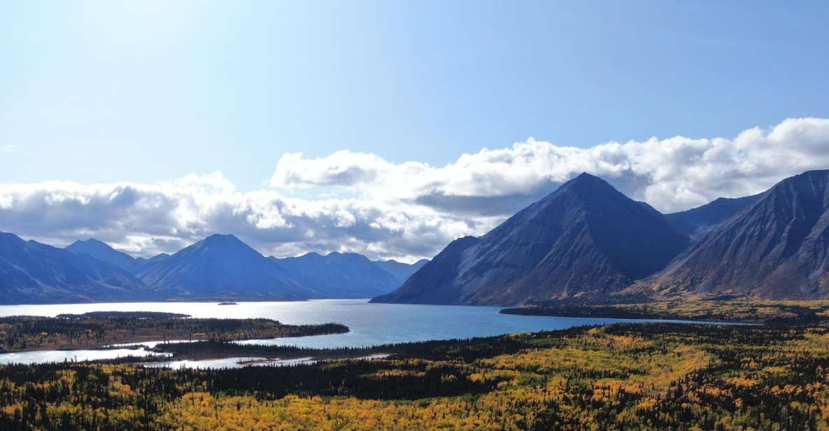 Whitehorse: Kluane National Park & Haines Junction Day Trip - Meeting Point and Directions