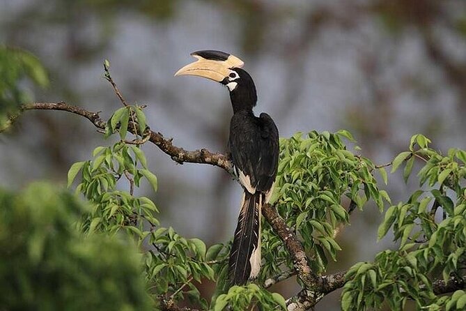 Wilpattu National Park Jeep Safari From Negombo / Waikkal (All Inclusive) - Photographic Moments