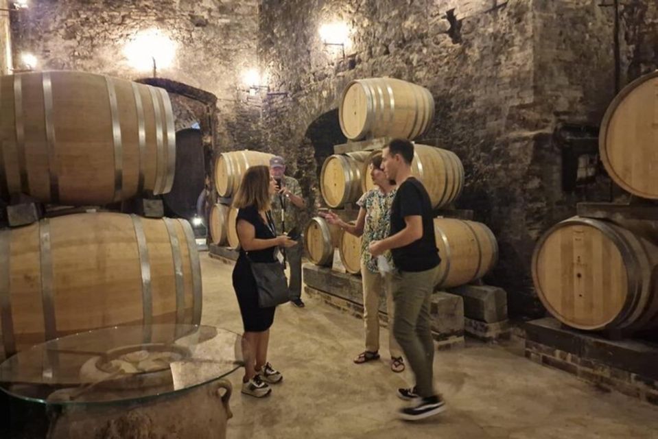 Wine Tasting in Montepulciano and Vineyards Private Tour - Booking