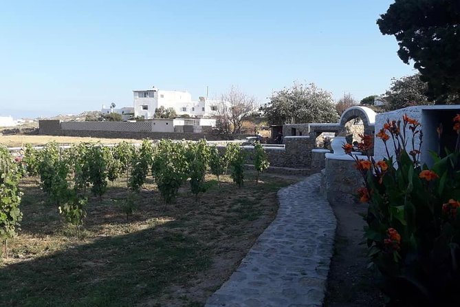 Wine Tasting Tour at a Traditional Farm in Mykonos - Inclusions of the Tour