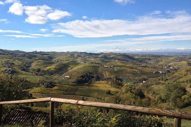 Wine Tasting With the Producer - Visit to the Cellar & Vineyards Between Langhe & Monferrato - Local Culinary Pairings