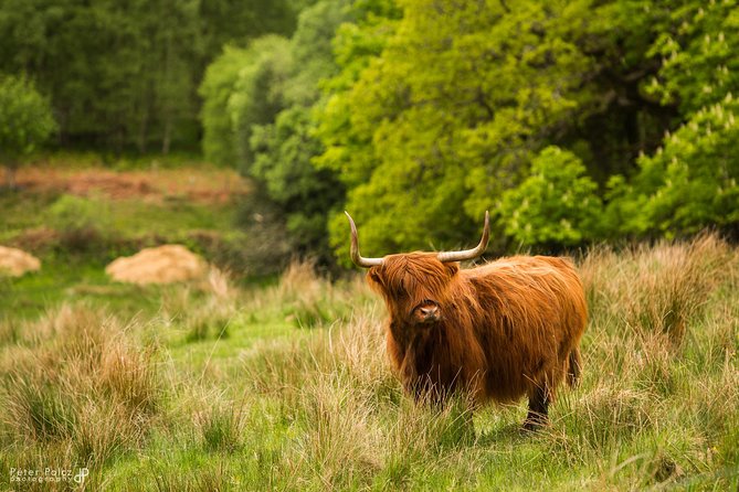 2-Day Highlands and Loch Ness Tour From Edinburgh - Cancellation and Refund Policy