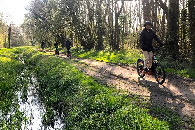 2 Hours Discovery Tour of Versailles on Electric 2 Wheels - Tour Accessibility