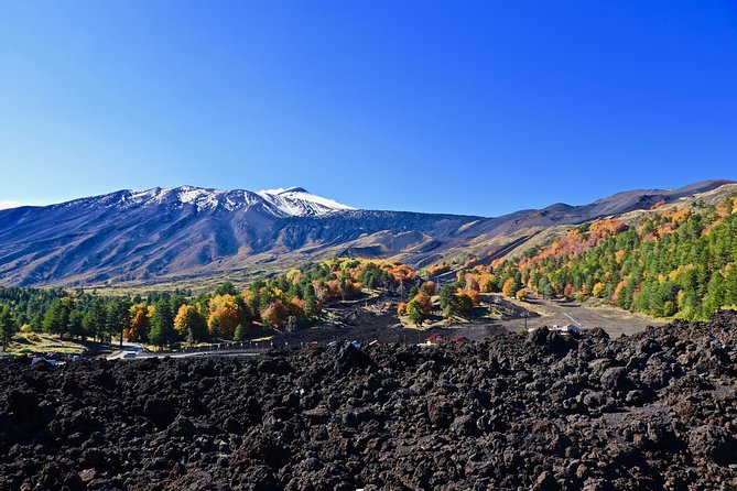 2002 Crater Excursion - Northern Etna - Excursion Duration and Flexibility