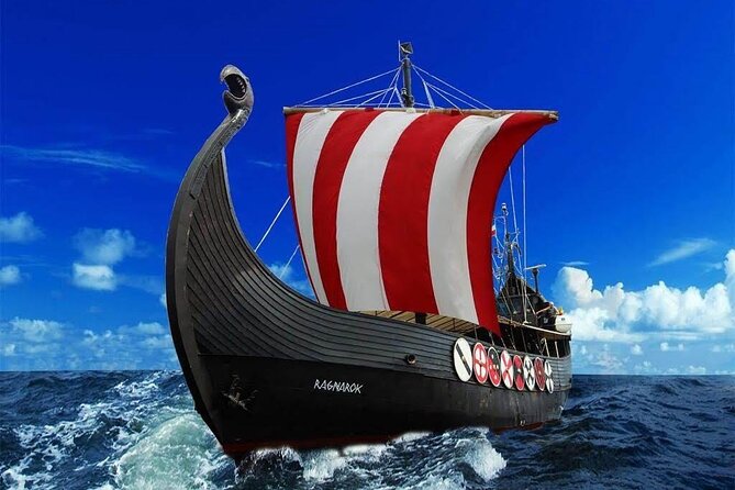 2h Viking Cruise Whales and Dolphins Watching - Wildlife Spotting Opportunities