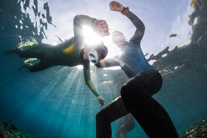 3-Day Freediving Level 1 Course - Skill Level Requirements