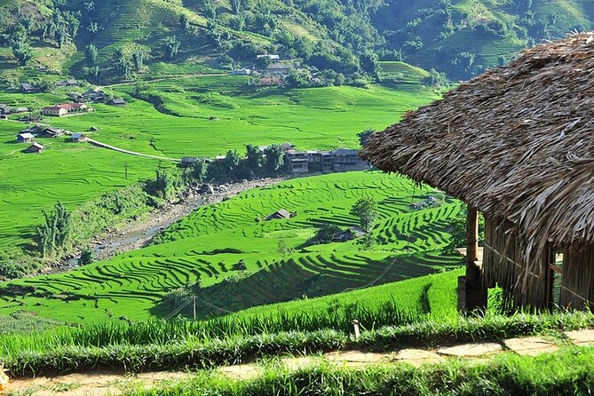 3-Day Trekking Adventure of Sapa From Hanoi - Stay Ta Van Village - Hiking From Y Linh Ho to Ta Van