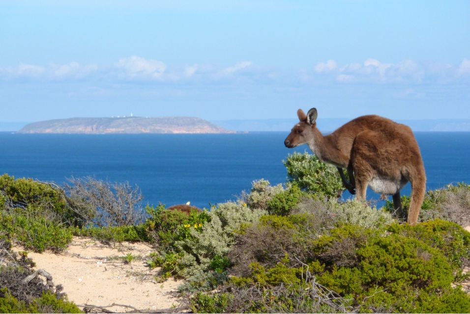 3-Day Yorkes Peninsula Coastal Wilderness Tour From Adelaide - Itinerary