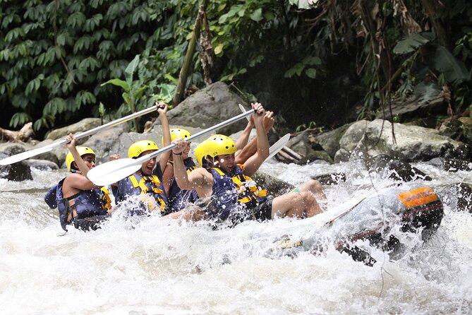 3 Days for the Best of Ubud Private Tour - Highlights of the Tour
