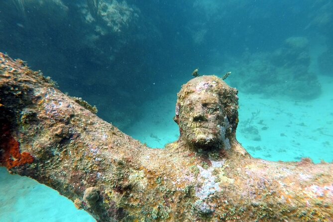 4-Hour Snorkel Cruise to Underwater Sculptures With Boat Dogs - Important Details to Note