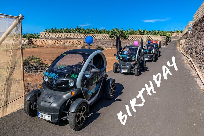 4 Hours Eco Safari Tour With Electric Car in Tenerife - Meeting Point and Schedule