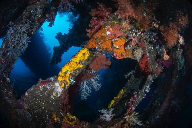 5 Fun Dives in Tulamben (For Certified Divers) - Discover Famous Diving Sites - Souvenir Photos and Videos