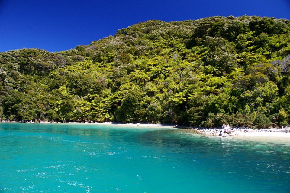 Abel Tasman National Park Scenic Cruise - Highlights