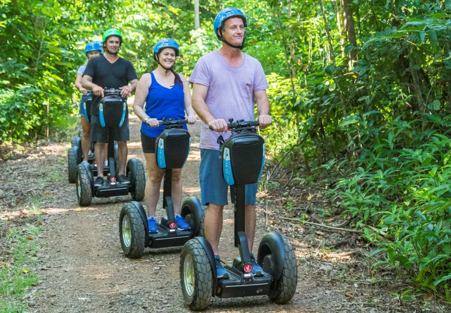 Airlie Beach: Segway Rainforest Discovery Tour - Tour Highlights