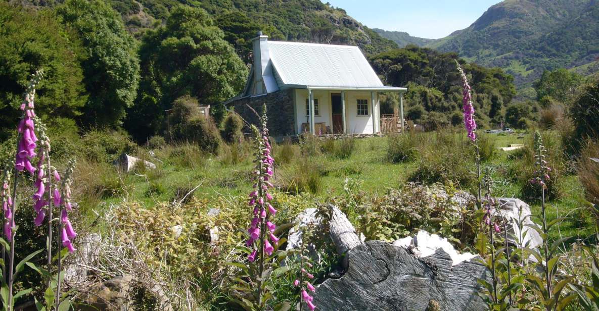 Akaroa: 24-hour Overnight Pohatu Penguin Package - Customer Reviews and Testimonials