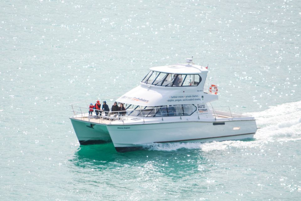 Akaroa: Dolphin Nature Cruise - Pricing and Duration