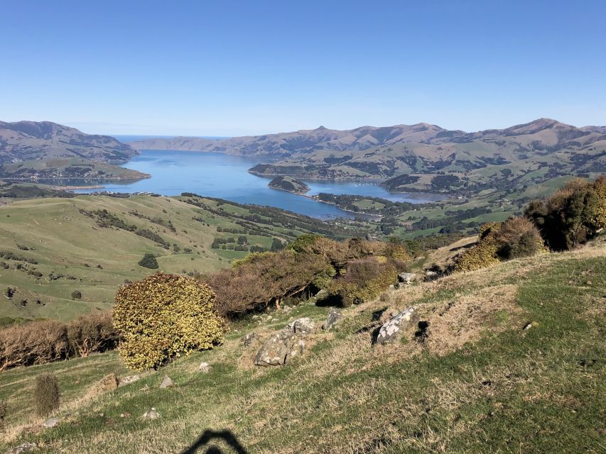 Akaroa: Scenic Coastline Wildlife Cruise - Directions