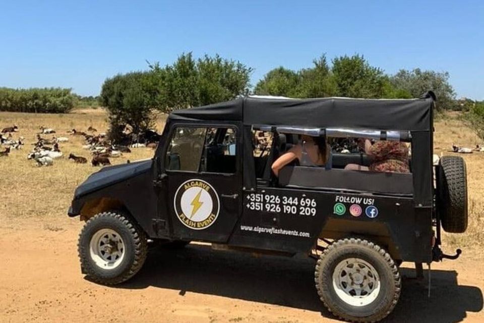 Albufeira Safari Tour With Entrance in Krazy World - Getting There