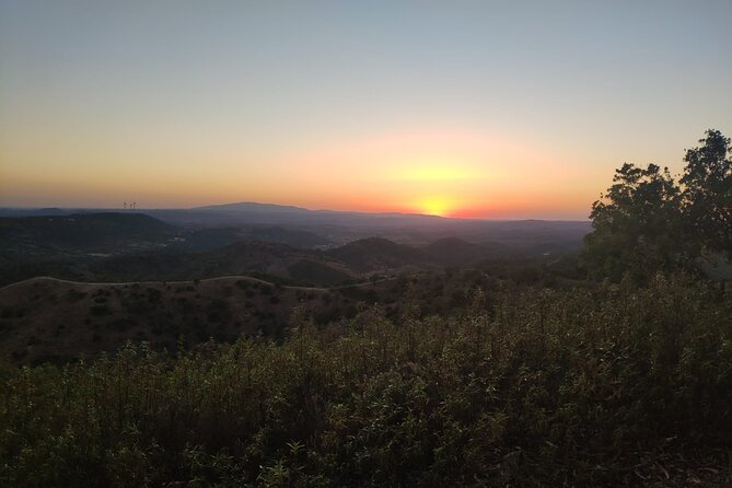 Algarve Sunset Safari Tour From Albufeira - Safety and Accessibility