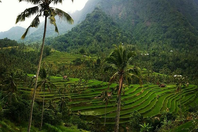 All Inclusive Bali Sekumpul Waterfalls Trekking Tour - Booking Information