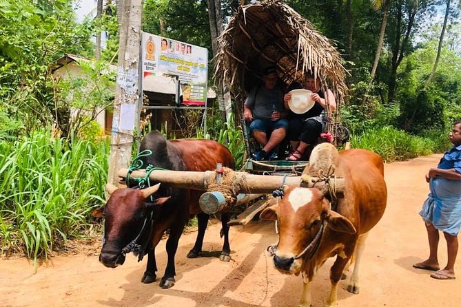 All Inclusive Private Day Tour Sigiriya, Dambulla & Traditional Village Tour - Tips for Your Tour