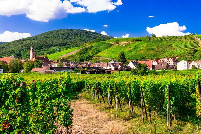 Alsace Wine Route Small Group Half-Day Tour With Tasting From Strasbourg - Two Winery Visits and Tastings