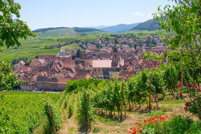 Alsace Wine Route Wineries & Tasting Small Group Guided Tour From Strasbourg - Exploring Ribeauvillé-Riquewihr Vineyards