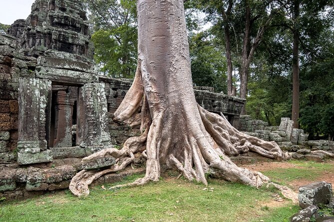 Angkor Sunrise Tour by Bike With Breakfast, Lunch & Tour Guide - Ancient Monuments