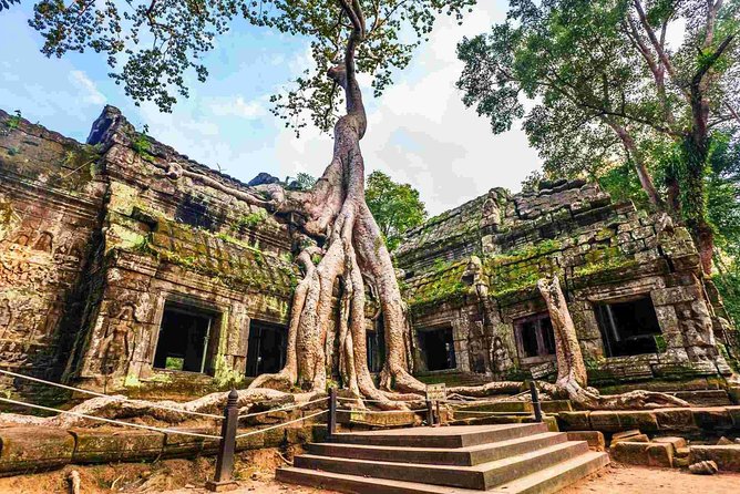 Angkor Wat Private Day Tour From Siem Reap - Guide Services and Languages