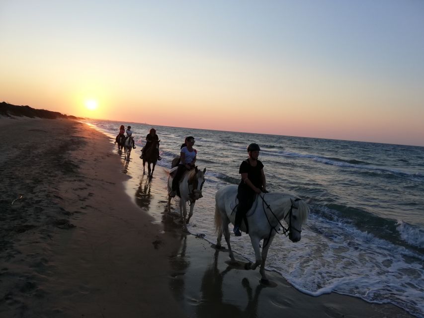 Apulia: Horseback Riding Trip in Parco Dune Costiere - Riding Along the Coast