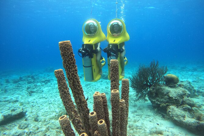 Aquafari Tour in Curaçao - Meeting Point and Inclusions